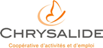 Chrysalide