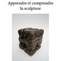 Apprendre et comprendre la sculpture (livre pratique)