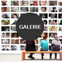 Site Web / Galerie pour Artistes