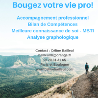 Bilan de compétences/ Coaching d'artistes
