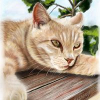 STAGE DE PEINTURE RÉALISTE