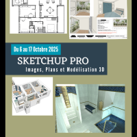Sketchup Pro : images, plans et modélisations 3D