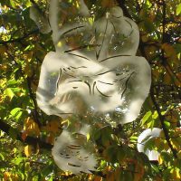 Recherche un un·e designer visuel (vidéo mapping)