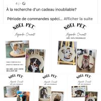 Art réaliste Pet personnalisée sur porcelaine