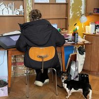 Looking for a table spot at shared studio