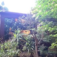 place de bureau à louer dans grand local partagé, lumineux, exposition Nord, sur cour arborée fermée