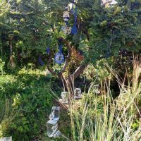 Appel à projets Génie des Jardins