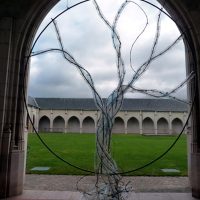 Expositions « DESSEINS D’ARBRES » Association COULEUR VINAIGRE – ORLEANS