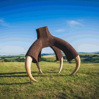 APPEL A CANDIDATURES 2027 - HORIZONS ARTS-NATURE EN SANCY